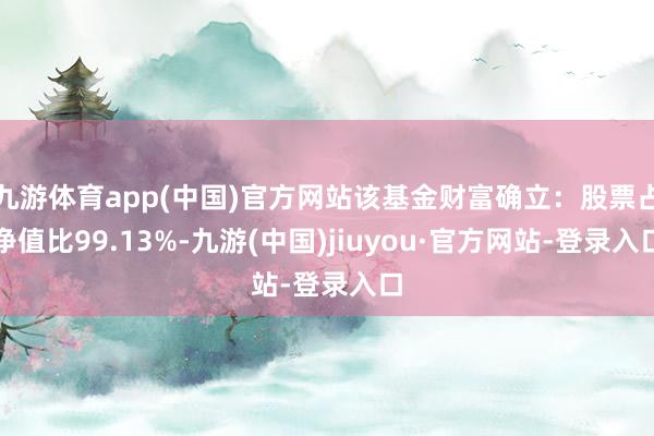 九游体育app(中国)官方网站该基金财富确立：股票占净值比99.13%-九游(中国)jiuyou·官方网站-登录入口