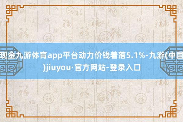 现金九游体育app平台动力价钱着落5.1%-九游(中国)jiuyou·官方网站-登录入口